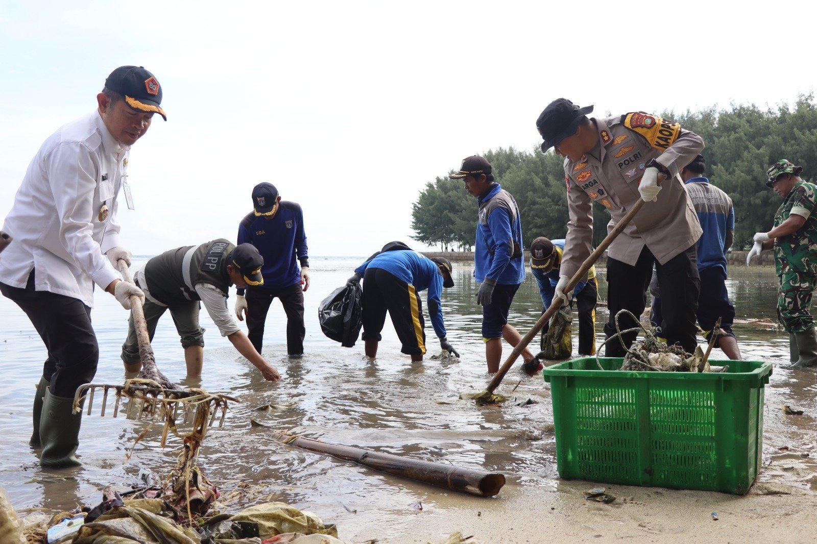 Polda Metro Jaya Bersama Kodam Jaya-Pemprov DKI Kerja Bakti dan Tanam Mangrove di Pulau Tidung